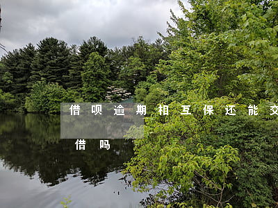 借呗逾期相互保还能交吗(借呗逾期过后还能借吗)