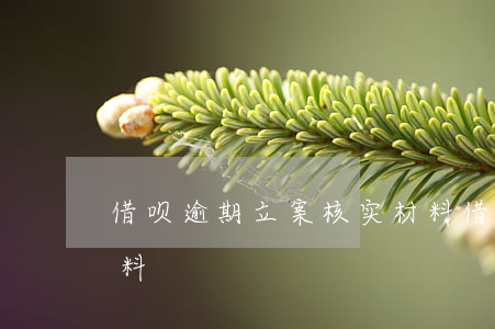 借呗逾期立案核实材料(借呗逾期立案核实材料)