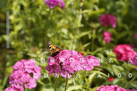 借呗逾期罚息为什么一天100多 借呗逾期罚息为什么一天100多