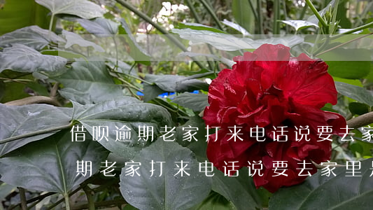 借呗逾期老家打来电话说要去家里-借呗逾期老家打来电话说要去家里是真的吗