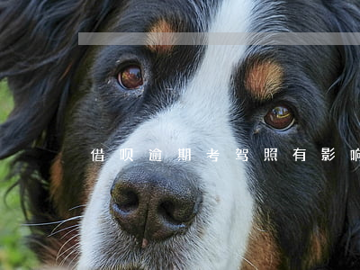 借呗逾期考驾照有影响吗