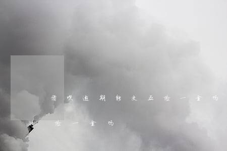 借呗逾期能交五险一金吗(网贷逾期可以买五险一金吗)