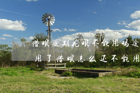借呗逾期花呗不能用吗(逾期了花呗现在可以用了,借呗怎么还不能用)