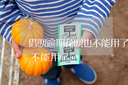 借呗逾期花呗也不能用了吗(借呗逾期后花呗不能用)