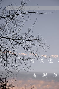 借呗逾期花呗也要一次性还请么-借呗花呗逾期后还清了多久能恢复使用资格