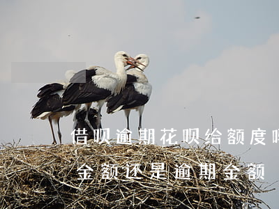 借呗逾期花呗给额度吗(借呗逾期利息是按总金额还是逾期金额)