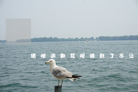 借呗逾期花呗被封了不让用(借呗花呗封停)