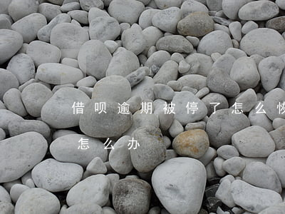 借呗逾期被停了怎么恢复(借呗逾期被关闭了怎么办)