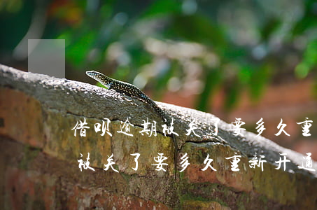 借呗逾期被关了要多久重新开通-借呗逾期被关了要多久重新开通呢