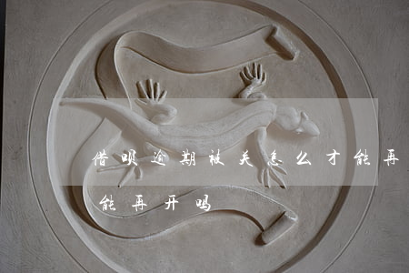 借呗逾期被关怎么才能再开(借呗被关还完了能再开吗)
