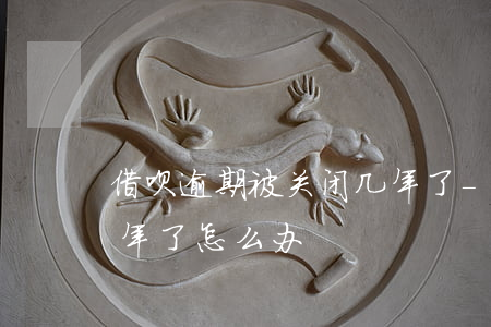 借呗逾期被关闭几年了-借呗逾期被关闭几年了怎么办