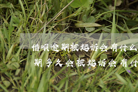 借呗逾期被起诉会有什么后果(支付宝借呗逾期多久会被起诉会有什么后果)