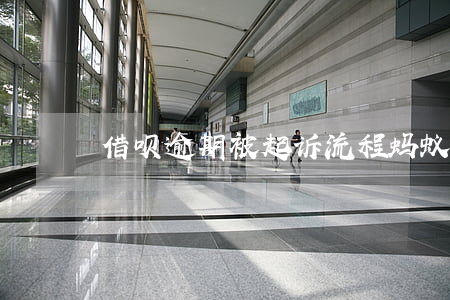 借呗逾期被起诉流程(蚂蚁借呗逾期起诉流程)