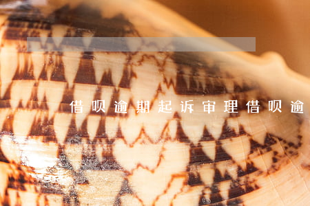 借呗逾期起诉审理(借呗逾期被告法庭)