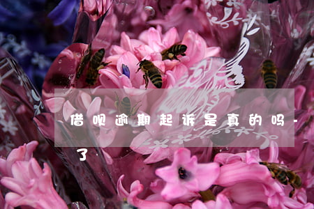 借呗逾期起诉是真的吗-借呗逾期了被起诉了
