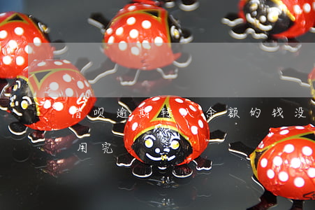 借呗逾期转入余额的钱没了(借呗显示余额已用完)
