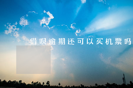 借呗逾期还可以买机票吗(借呗逾期还能取吗)