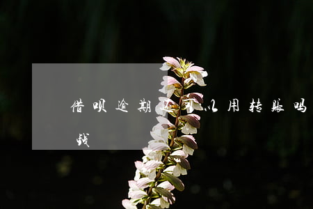借呗逾期还可以用转账吗(借呗逾期了还能借钱?)
