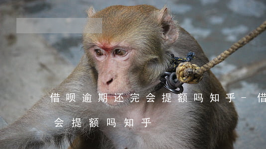 借呗逾期还完会提额吗知乎-借呗逾期还完会提额吗知乎