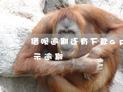借呗逾期还有下款app(借呗还了之后还显示逾期)