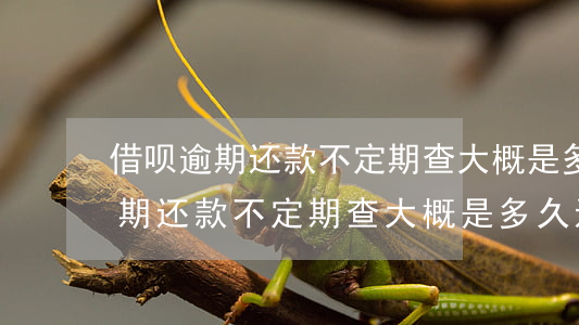 借呗逾期还款不定期查大概是多久-借呗逾期还款不定期查大概是多久还完