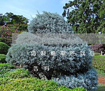 借呗逾期还款后上征信了(借呗逾期上征信报告吗?)