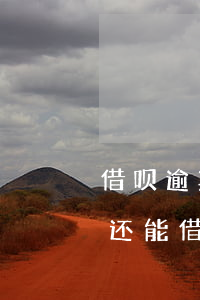 借呗逾期还款是还入公账吗(借呗逾期还清了还能借吗)