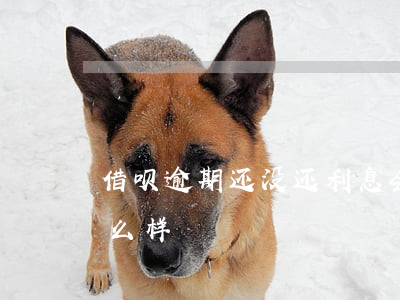 借呗逾期还没还利息会高吗(借呗逾期还会怎么样)