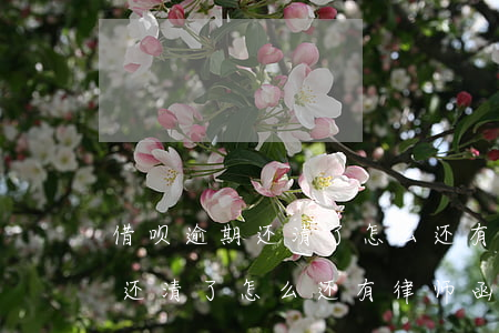 借呗逾期还清了怎么还有律师函-借呗逾期还清了怎么还有律师函呢