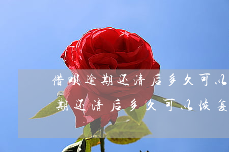 借呗逾期还清后多久可以恢复额度-借呗逾期还清后多久可以恢复额度了