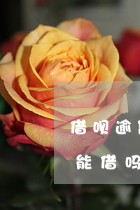 借呗逾期还清后能不能贷款（借呗还了逾期还能借吗）