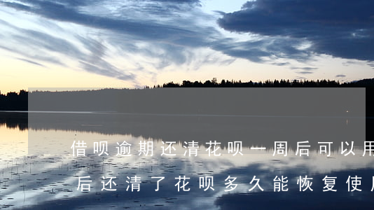 借呗逾期还清花呗一周后可以用吗(借呗逾期后还清了花呗多久能恢复使用资格)