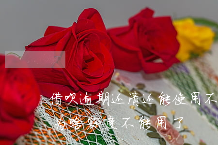 借呗逾期还清还能使用不(借呗逾期后还完了,为啥额度不能用了)