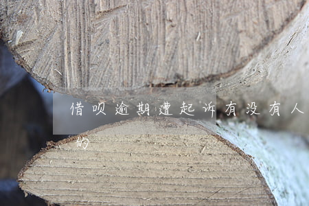 借呗逾期遭起诉(有没有人借呗逾期了被起诉的?)
