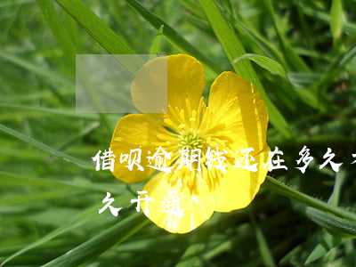 借呗逾期钱还在多久才开通(借呗逾期还完多久开通)