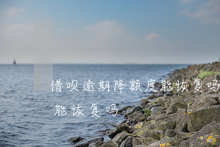 借呗逾期降额度能恢复吗?（借呗逾期降额度还能恢复吗）