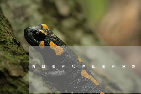 借呗逾期险(借呗逾期啥影响吗)