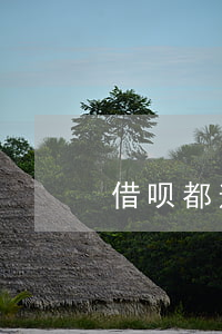借呗都逾期会发什么信息啊(什么叫借呗逾期)