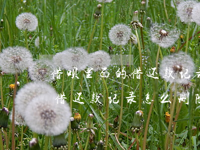 借呗里面的借还款记录怎么删除-借呗上的借还款记录怎么删除