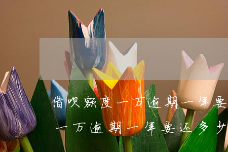 借呗额度一万逾期一年要还多少-借呗额度一万逾期一年要还多少钱