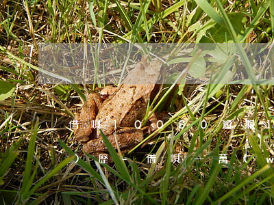借唄10000逾期1年親身經(jīng)歷-借唄一萬(wàn)逾期一年多了會(huì)被起訴嗎