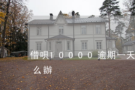 借唄10000逾期一天(借唄己逾期1天怎么辦)