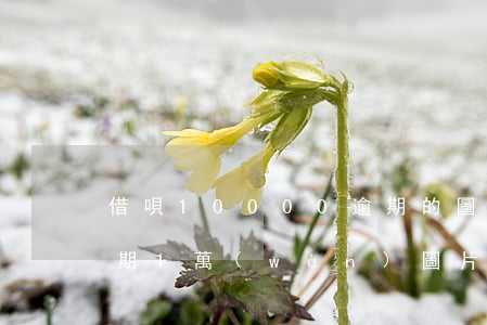 借唄10000逾期的圖片9月份-借唄逾期1萬(wàn)圖片