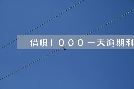 借唄1000一天逾期利息多少-