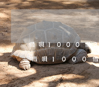 借唄1000借3個(gè)月提前還款-借唄1000借3個(gè)月提前還款可以嗎