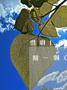 借唄1000元逾期半年(借唄12000逾期一個(gè)月會(huì)怎樣)