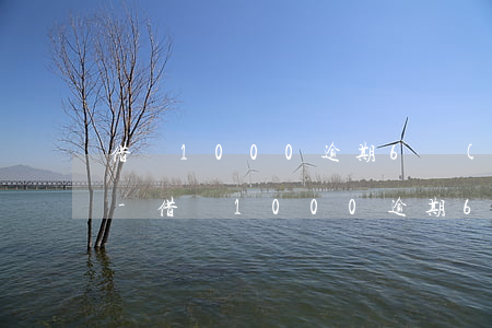 借唄1000逾期6個(gè)月利息多少-借唄1000逾期6個(gè)月利息多少錢