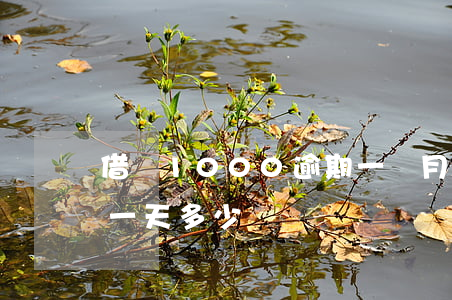 借唄1000逾期一個月(借唄7000逾期一天多少)