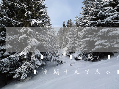 借唄10萬逾期2個(gè)月了(支付寶借唄逾期十天了怎么樣)
