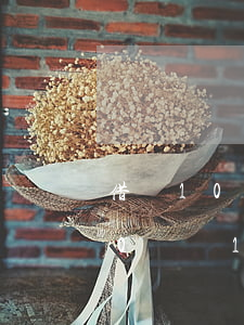 借唄10號還11號才換算逾期嗎-借唄10號還11號才換算逾期嗎為什么
